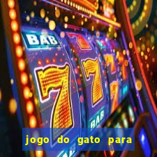 jogo do gato para ganhar dinheiro